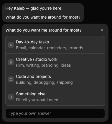 The new Bot asks what you want it around for